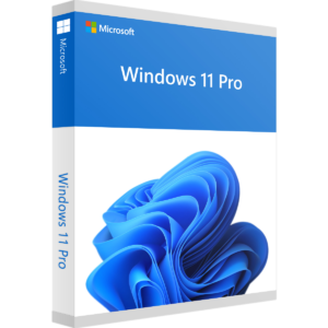 Windows 11 Pro key OEM - Win10cdkeys